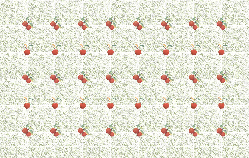 Rote Früchte — ganzes Design