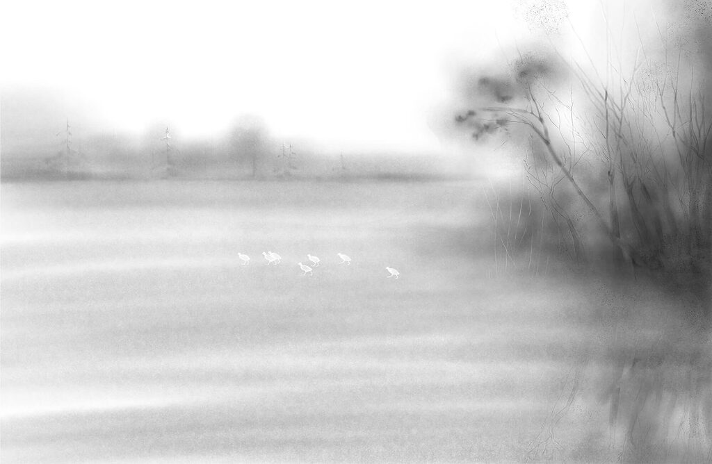 Ufer im Nebel — ganzes Design