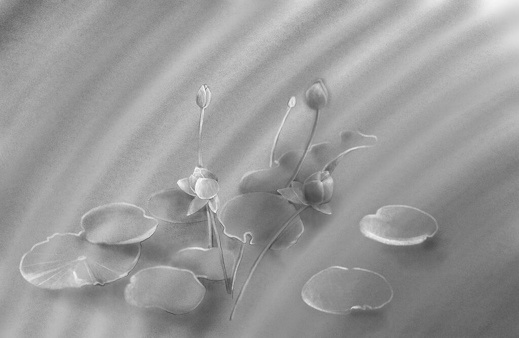 Blüten im Lichtspiel — ganzes Design