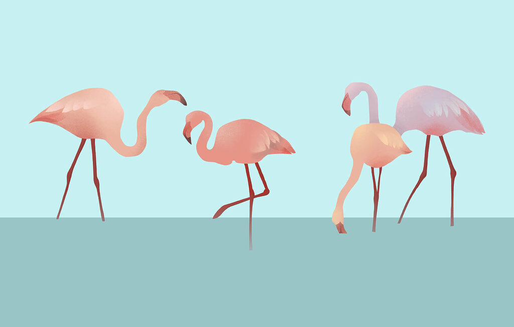 Flamingos im Wasser — ganzes Design