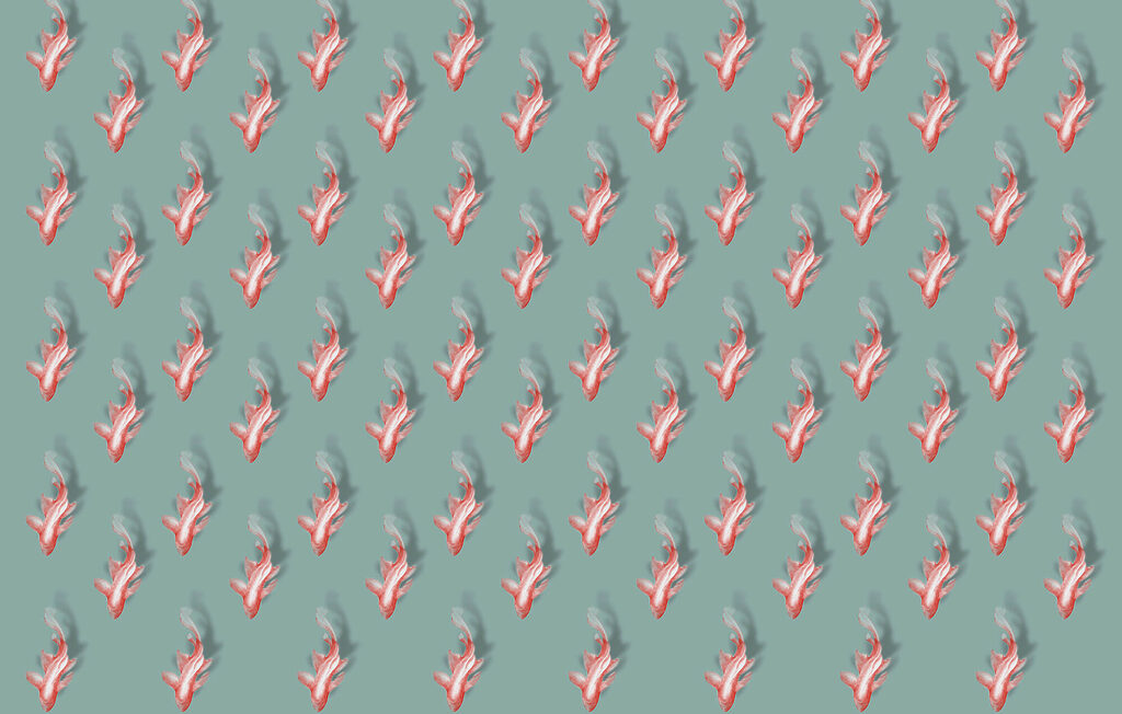 Flamingos in Reihen — ganzes Design
