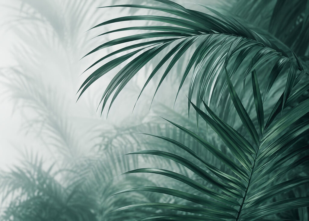 Palmwedel im stillen Dunst — ganzes Design