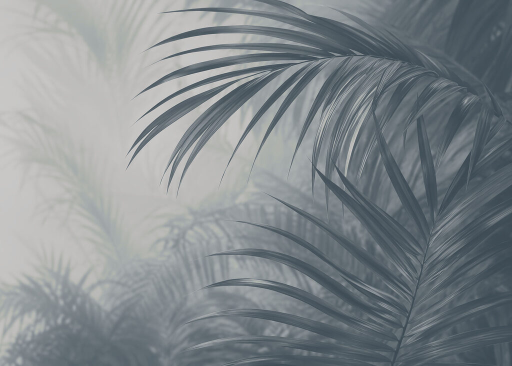 Palmwedel im stillen Dunst — ganzes Design