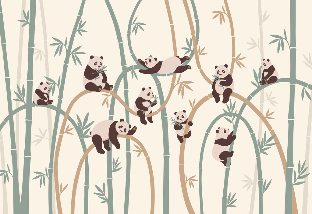 Pandas im Bambus — ganzes Design