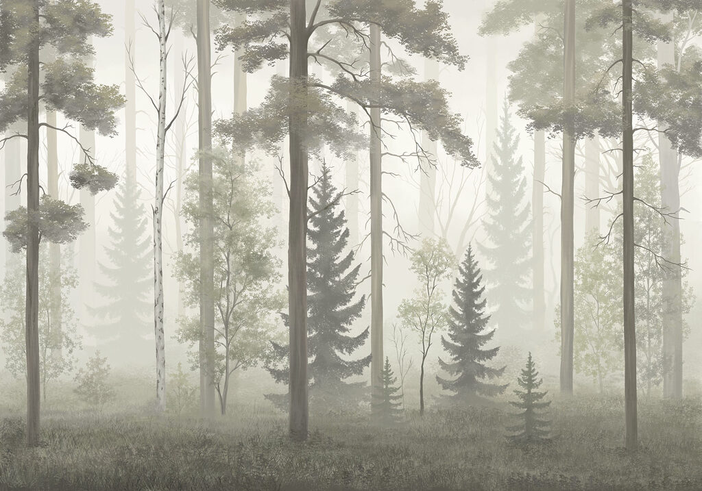 Hohe Stämme im Waldnebel — ganzes Design