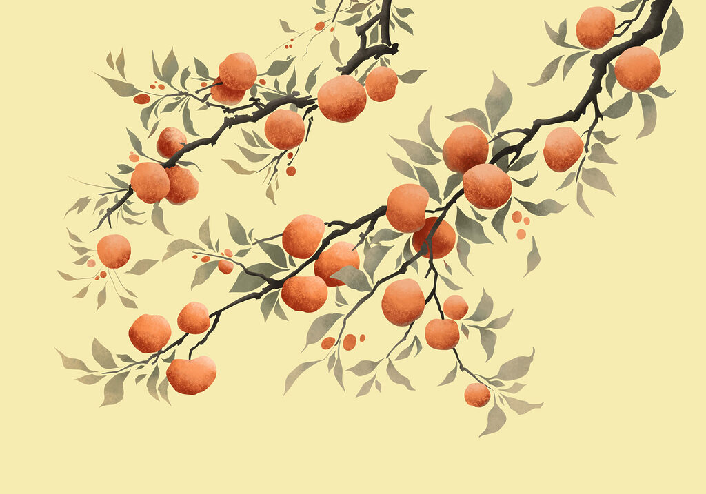 Orangen an gebogenen Zweigen — ganzes Design