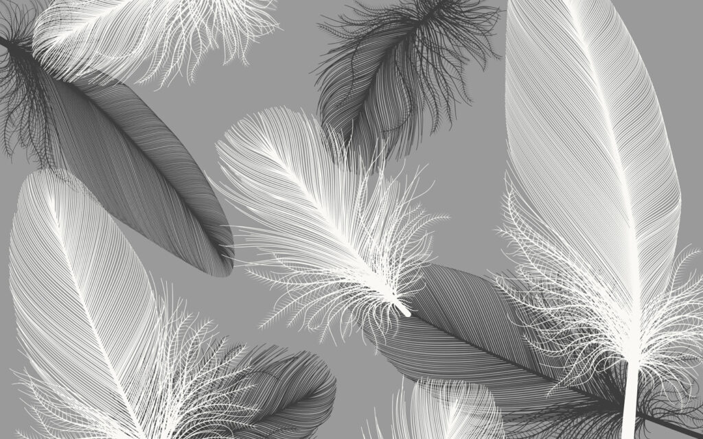 Zarte Federn, monochrom — ganzes Design