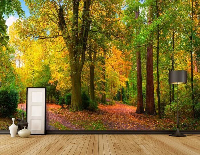 Wegbiegung im Herbstlicht in einem Interieur