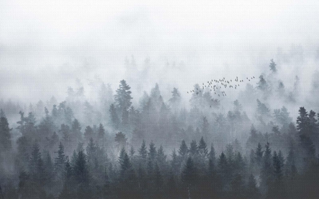Nadelbäume im Nebel — ganzes Design