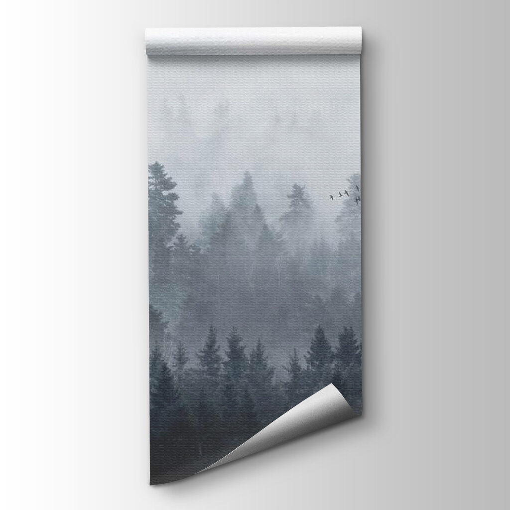 Nadelbäume im Nebel — Produktansicht