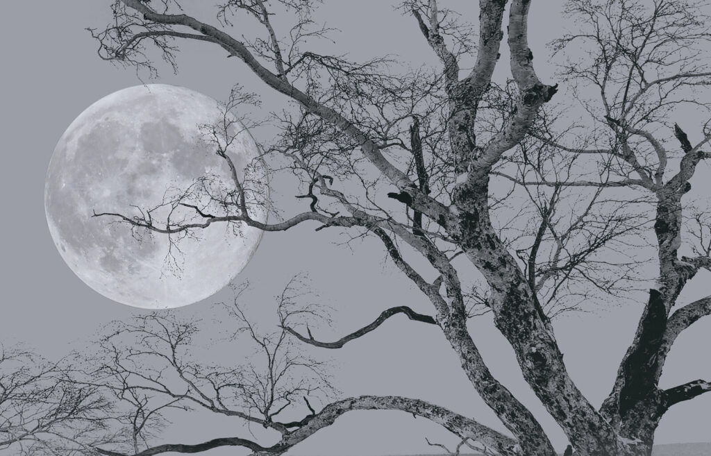 Äste vor dem Mond — ganzes Design