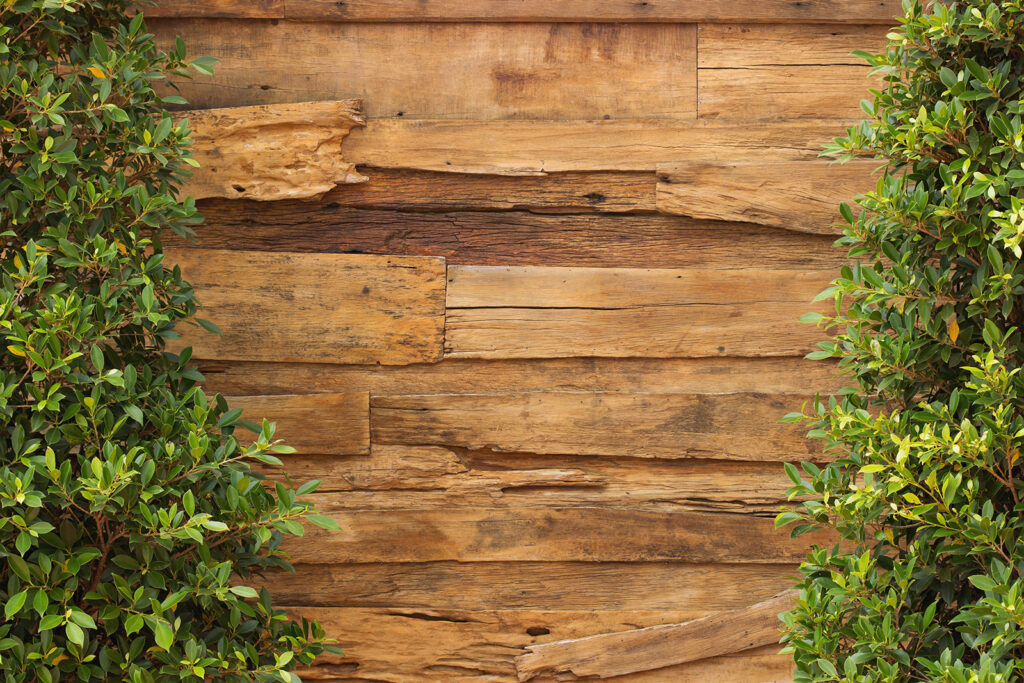 Holz trifft Grün — ganzes Design