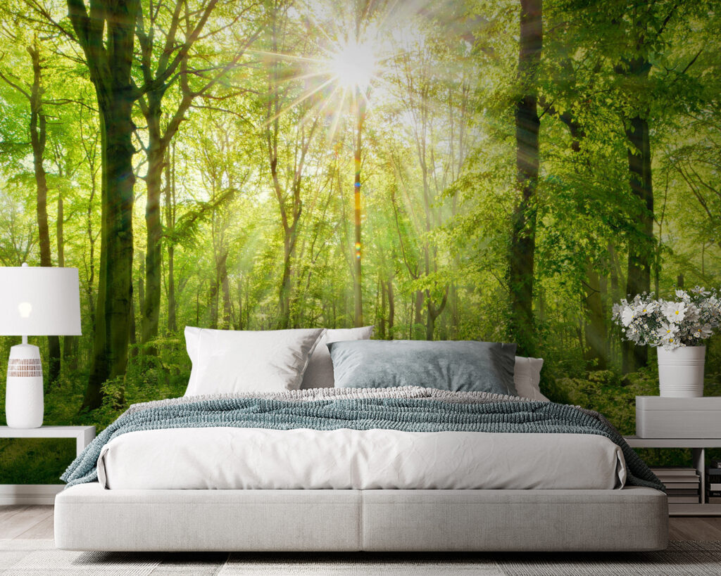 Sonnenlicht auf dem Waldweg — Interieur 2