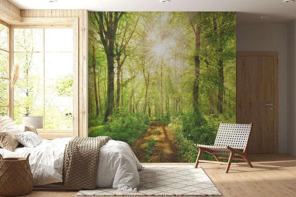 Sonnenlicht auf dem Waldweg — Interieur 7