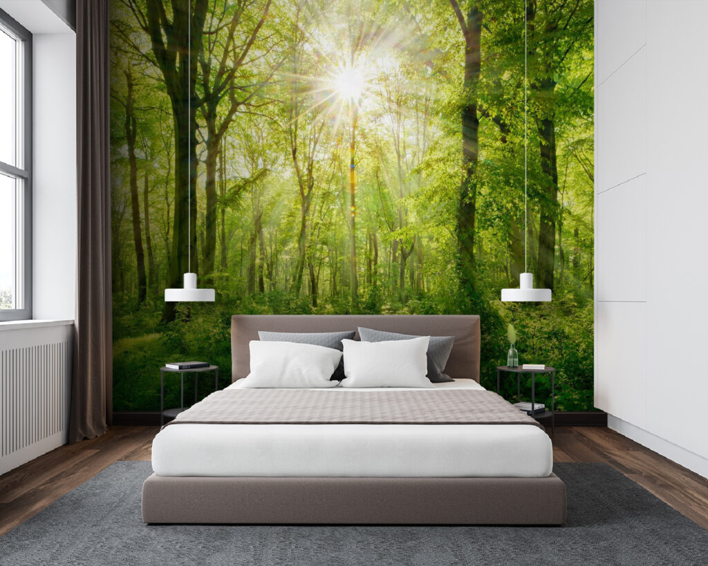 Sonnenlicht auf dem Waldweg in einem Interieur