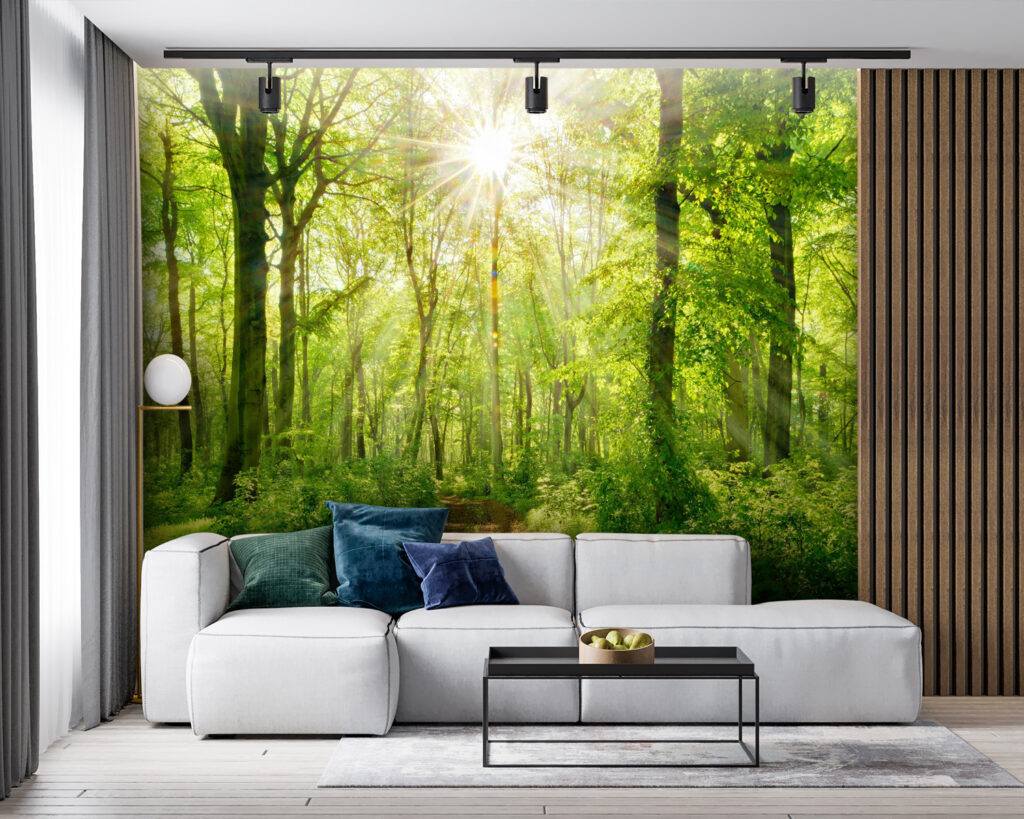 Sonnenlicht auf dem Waldweg — Interieur 3
