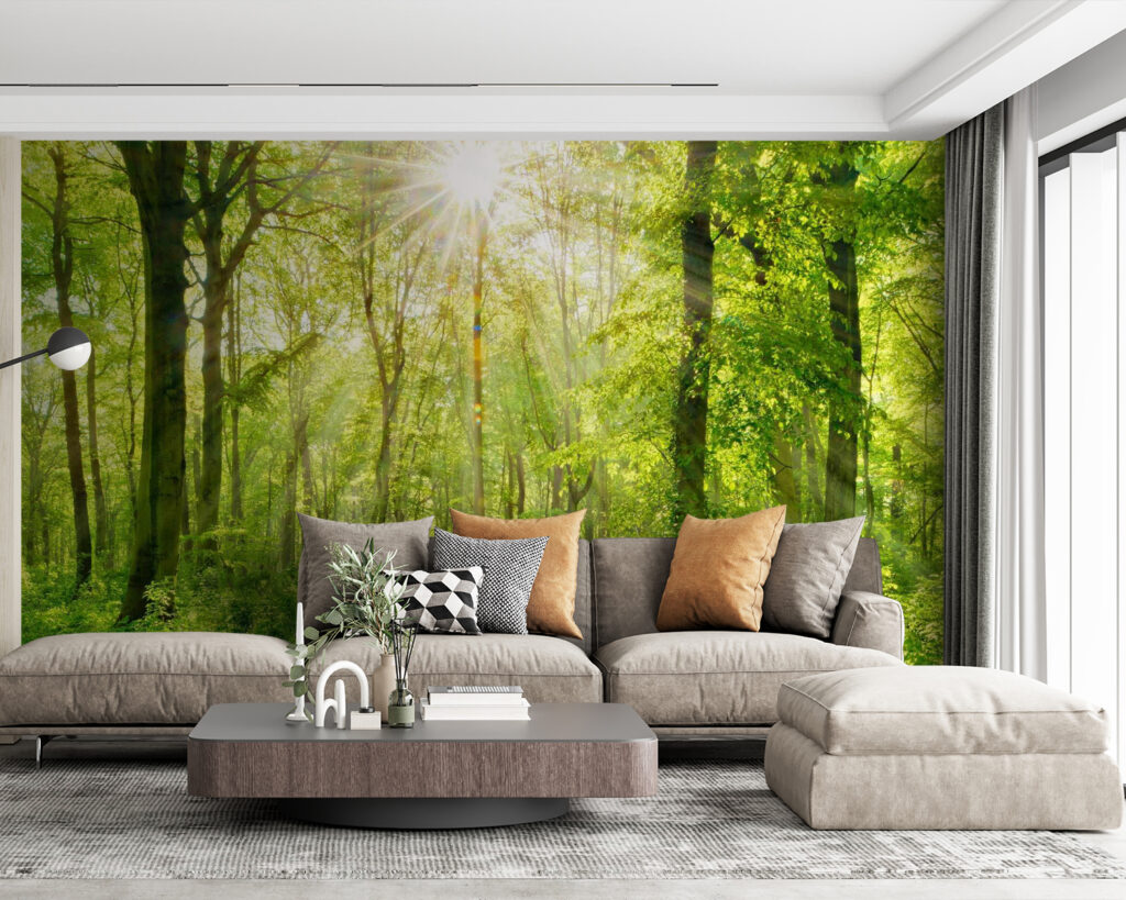 Sonnenlicht auf dem Waldweg — Interieur 4
