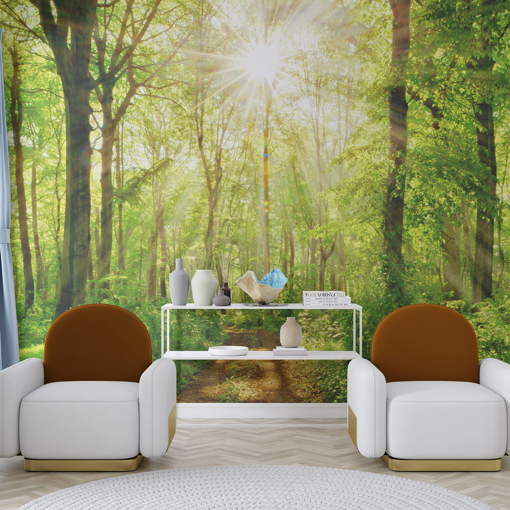 Sonnenlicht auf dem Waldweg — Interieur 6