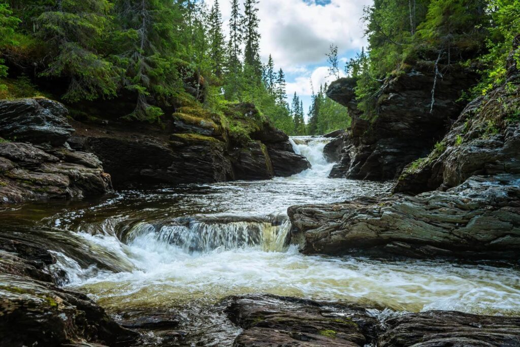 Wasser zwischen moosigen Steinen — ganzes Design