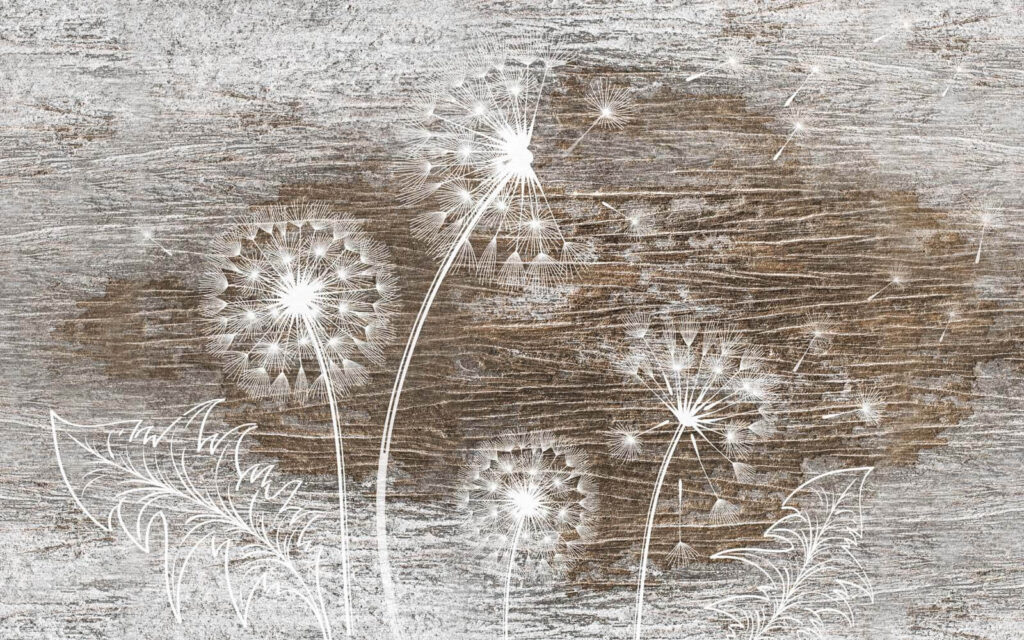 Weiße Pusteblumen auf Holz — ganzes Design