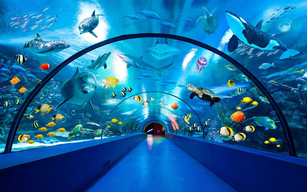 Unter Wasser, zwischen Fischen — ganzes Design
