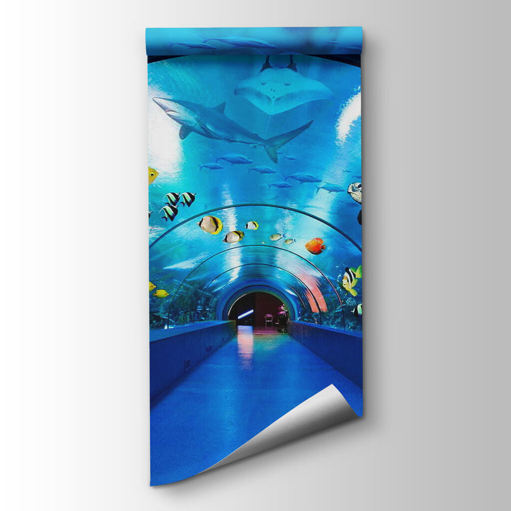 Unter Wasser, zwischen Fischen — Produktansicht