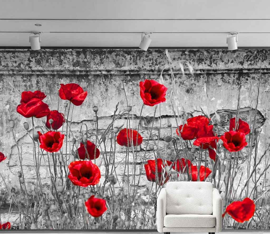 Mohn vor grauer Mauer in einem Interieur