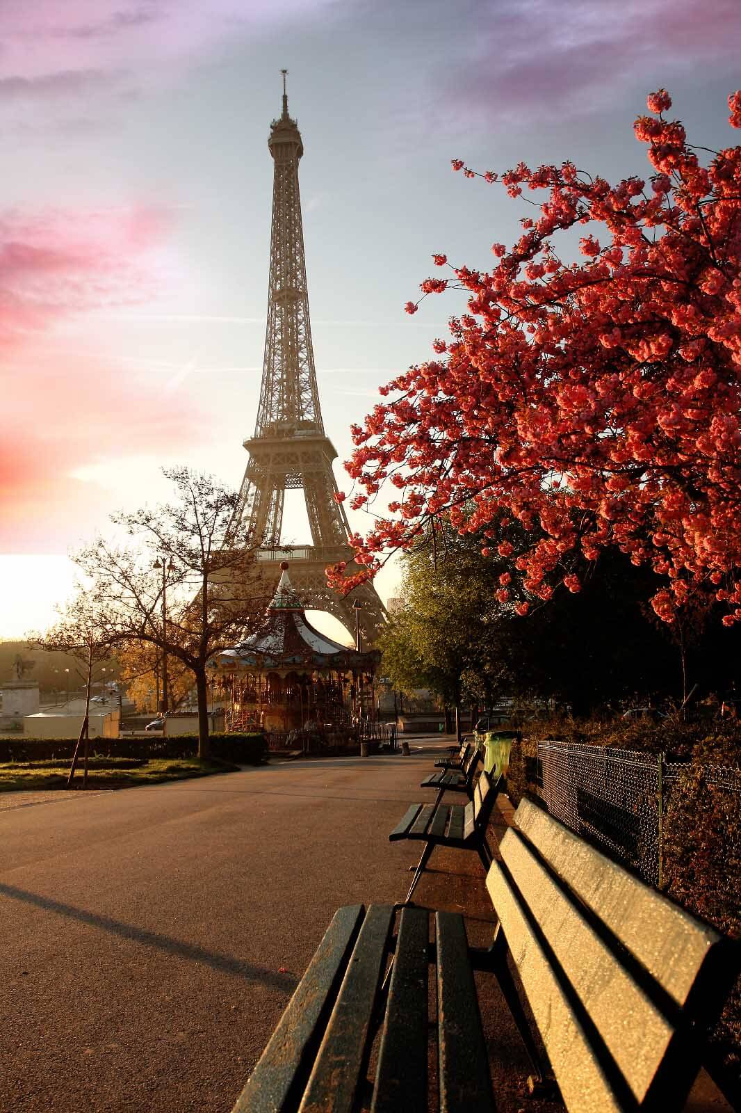 Abendlicht in Paris — ganzes Design