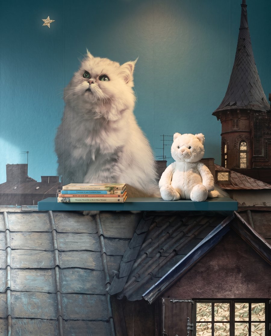 Katze unter Sternen — Detail