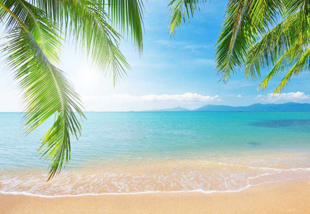 Strand unter Palmwedeln — ganzes Design