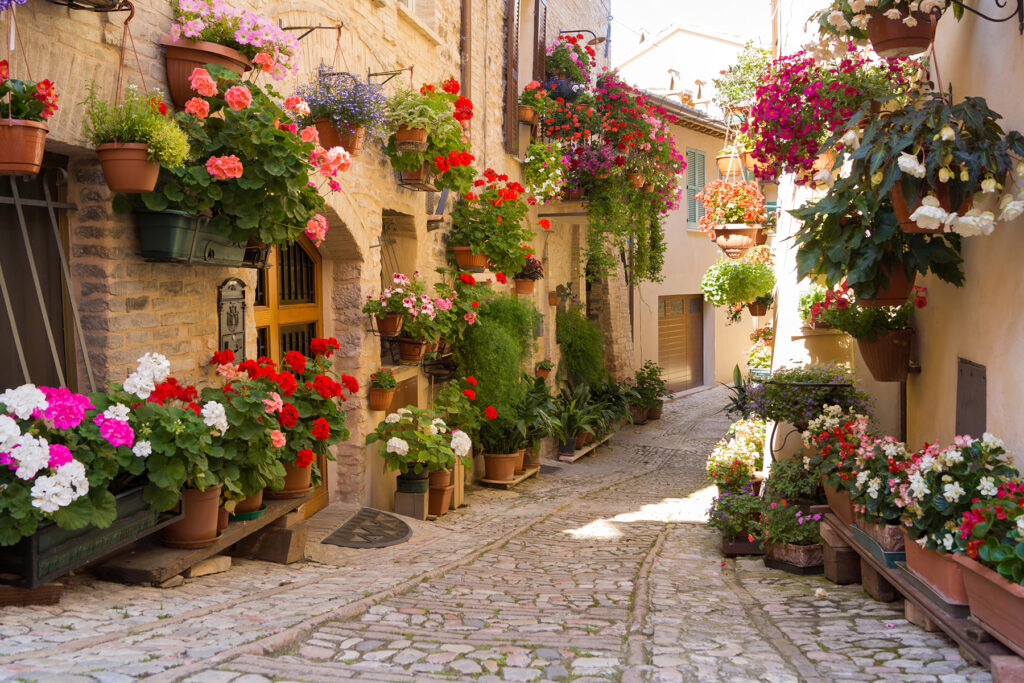 Gasse voller Blumen — ganzes Design