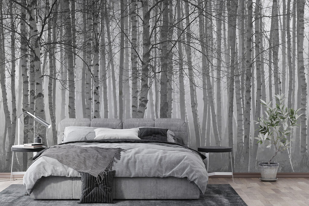 Kahle Bäume im Nebel — Interieur 4