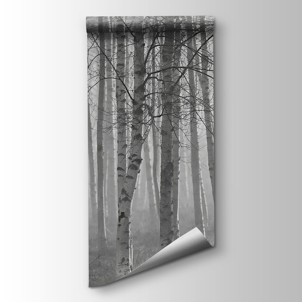 Kahle Bäume im Nebel — Produktansicht