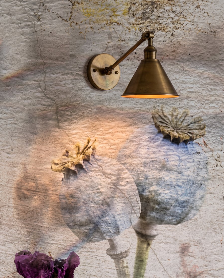 Disteln vor verwittertem Backstein — Detail