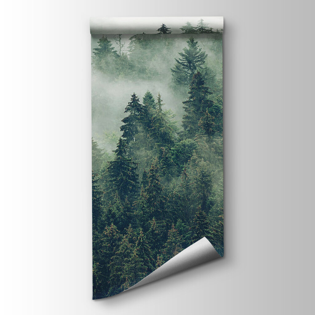 Wald im Nebel — Produktansicht