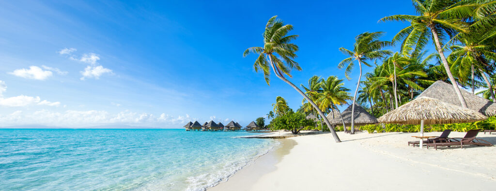 Strand mit Palmen — ganzes Design