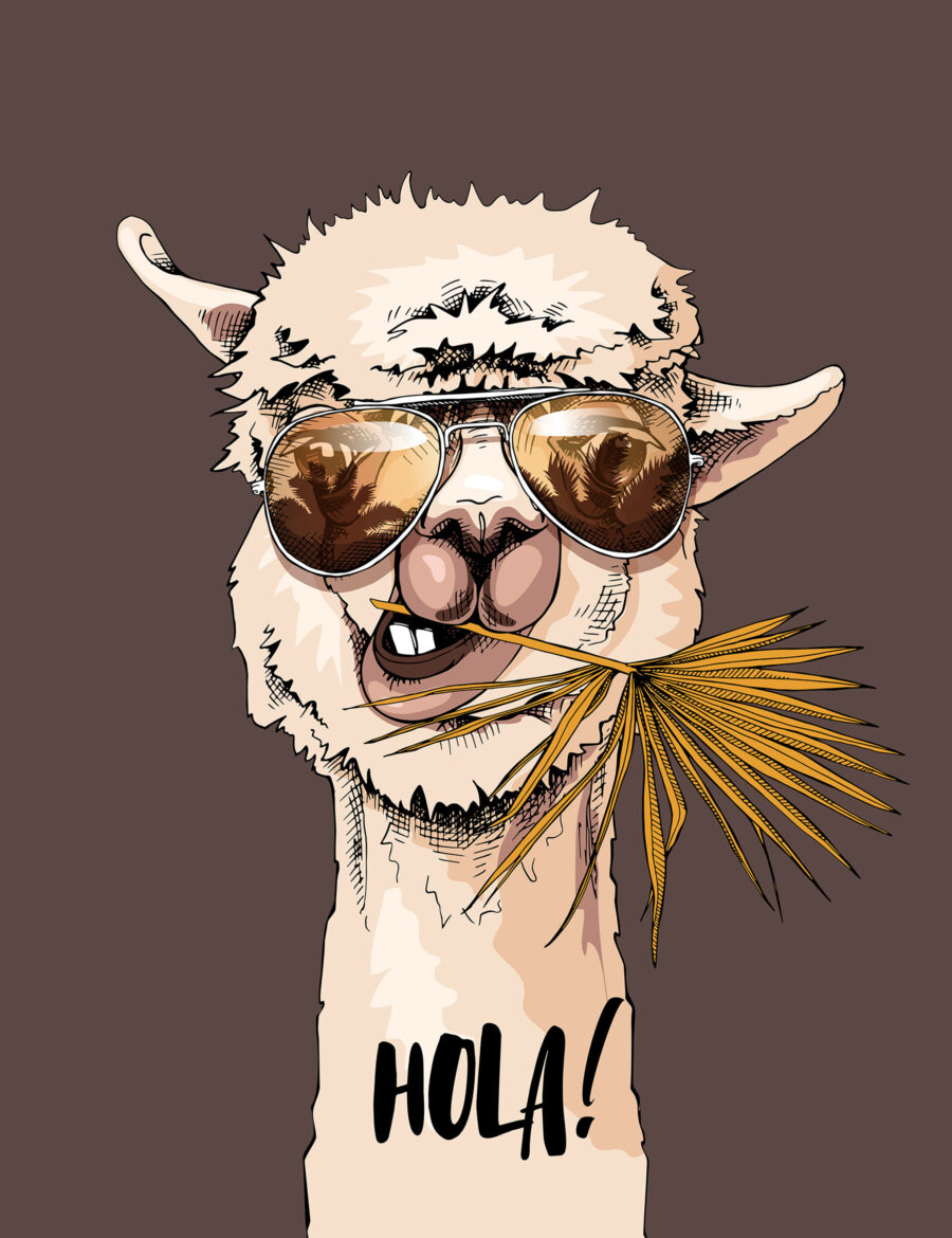 Lama mit Sonnenbrille — ganzes Design