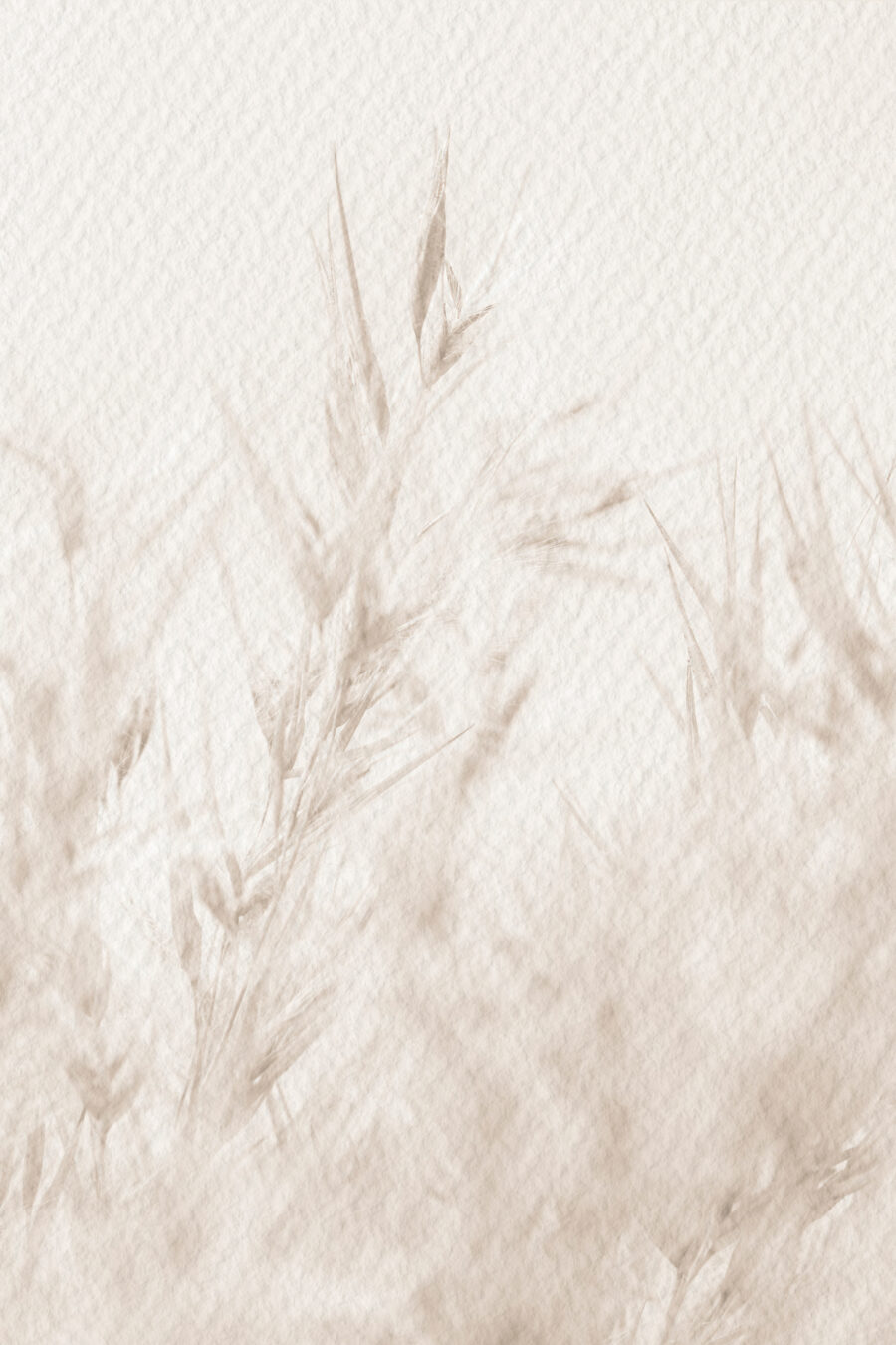 Gräser in neutralen Tönen — ganzes Design