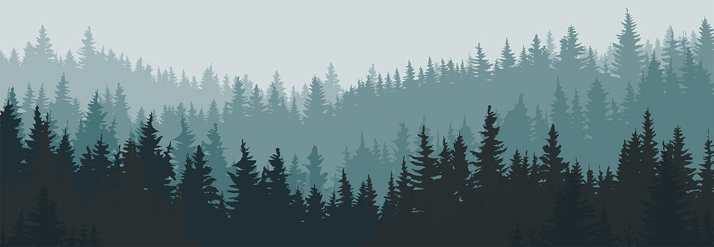 Weite Waldlandschaft — ganzes Design