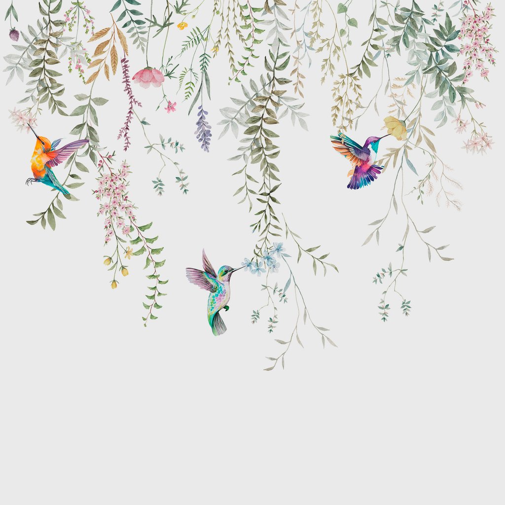 Kolibris unter Blütengirlanden — ganzes Design