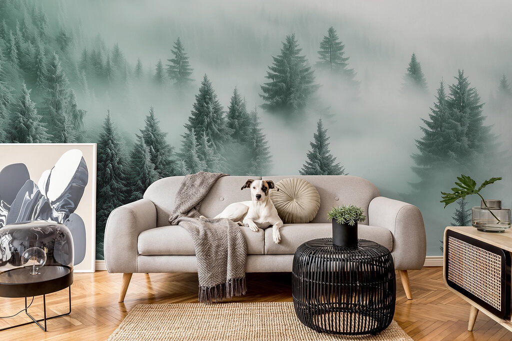 Tannen im Wolkennebel in einem Interieur