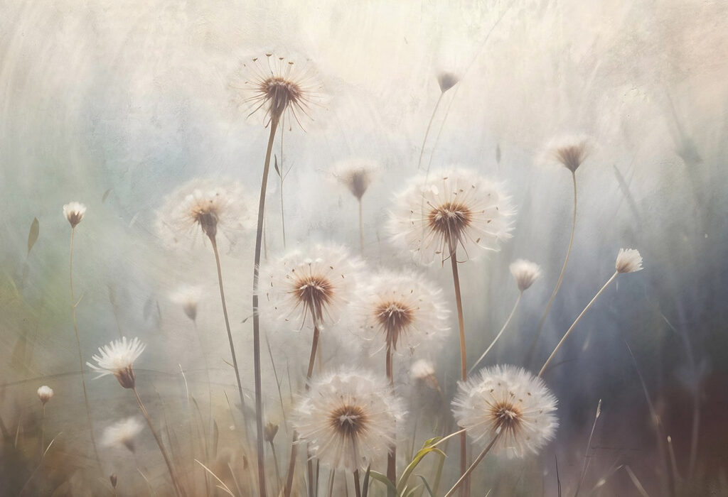 Pusteblumen im Morgendunst — ganzes Design